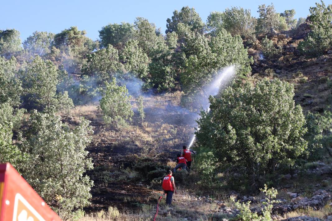 Adıyaman'daki yangınlarda 14 hektar alan zarar gördü 1